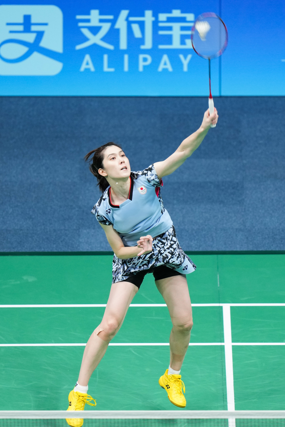 他们不仅 他们不仅